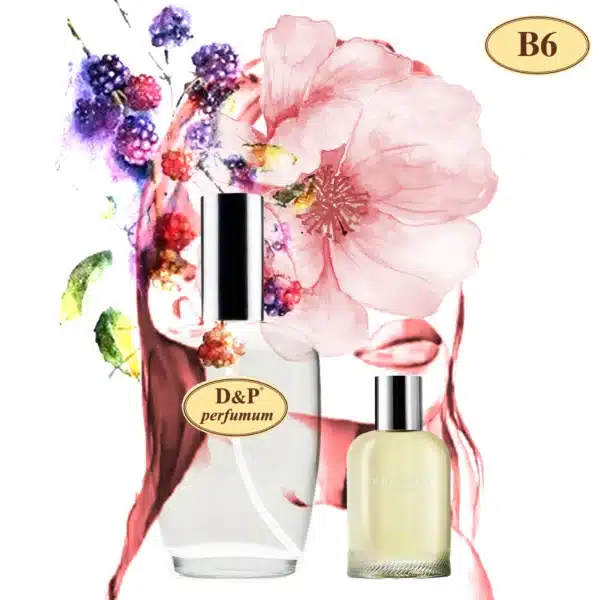 B6 - inspirerad av BURBERRY-BURBERRY WEEKEND
