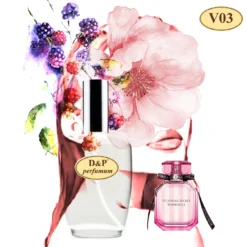 V3 - inspirerad av VIKTORIA`S SECRET-BOMBSHELL